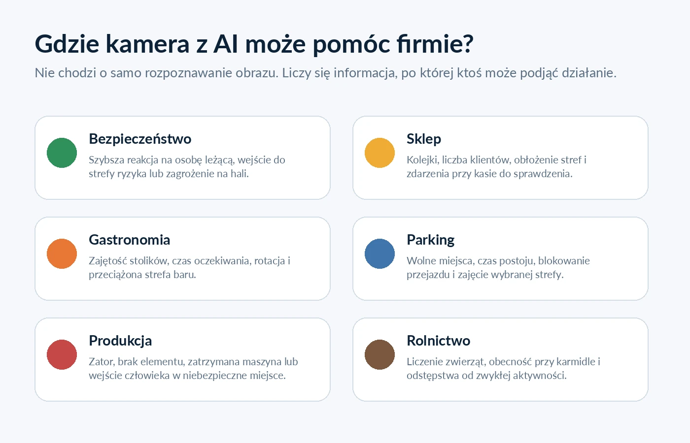 Sześć obszarów wykorzystania lokalnej analizy obrazu: bezpieczeństwo, sklep, gastronomia, parking, produkcja i rolnictwo