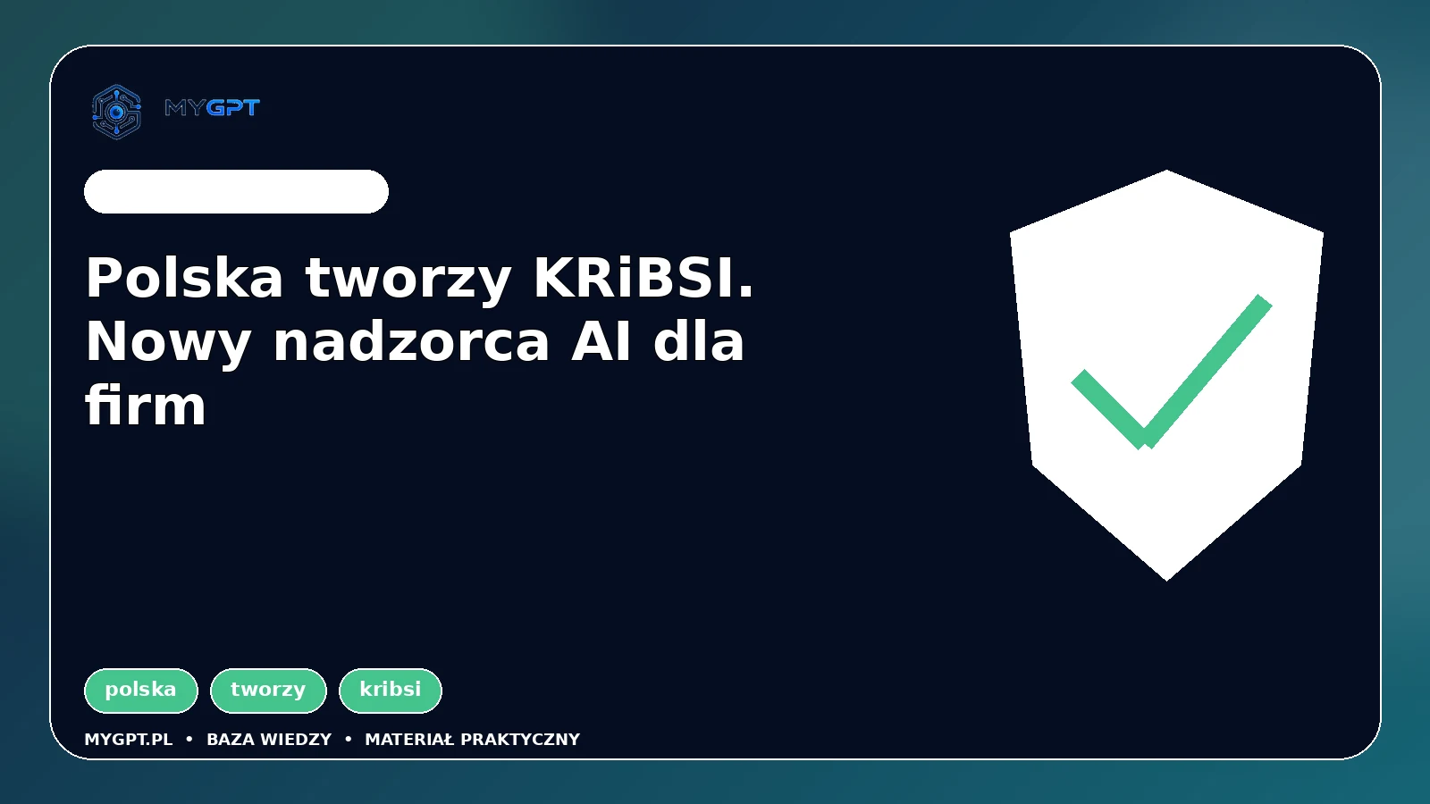 Ilustracja: Polska tworzy KRiBSI. Nowy nadzorca AI dla firm